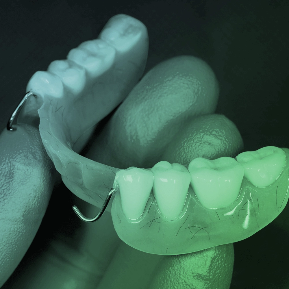 Hand holding a partial Denture.