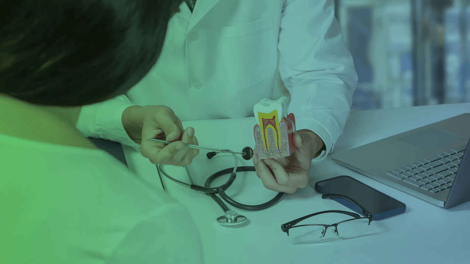 Dentist showing inside of a tooth.