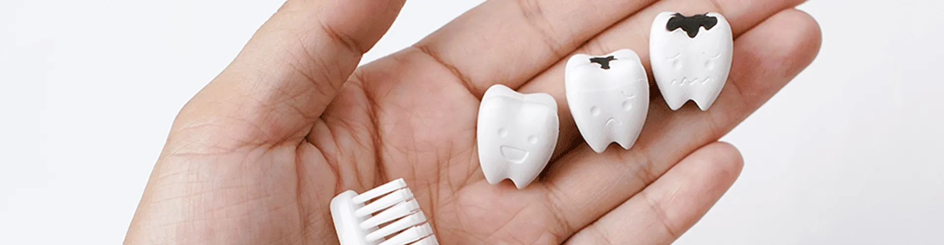 Hand holding artificial teeth showing a healthy tooth and a decayed tooth.